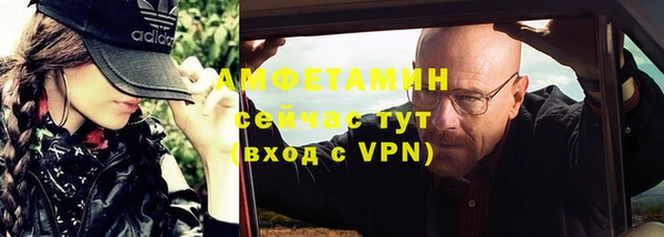 мдпв Михайлов