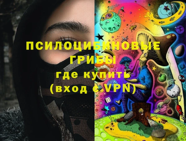 индика Богданович