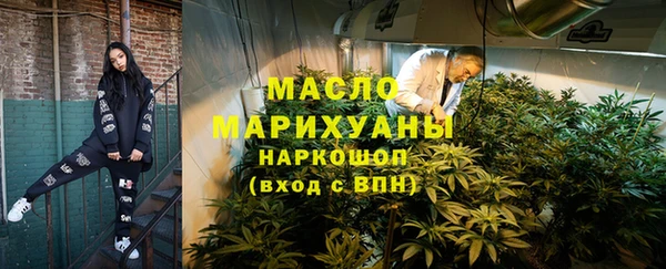 мдпв Михайлов