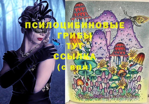 мдпв Михайлов