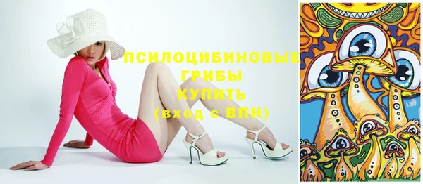 мдпв Анжеро-Судженск